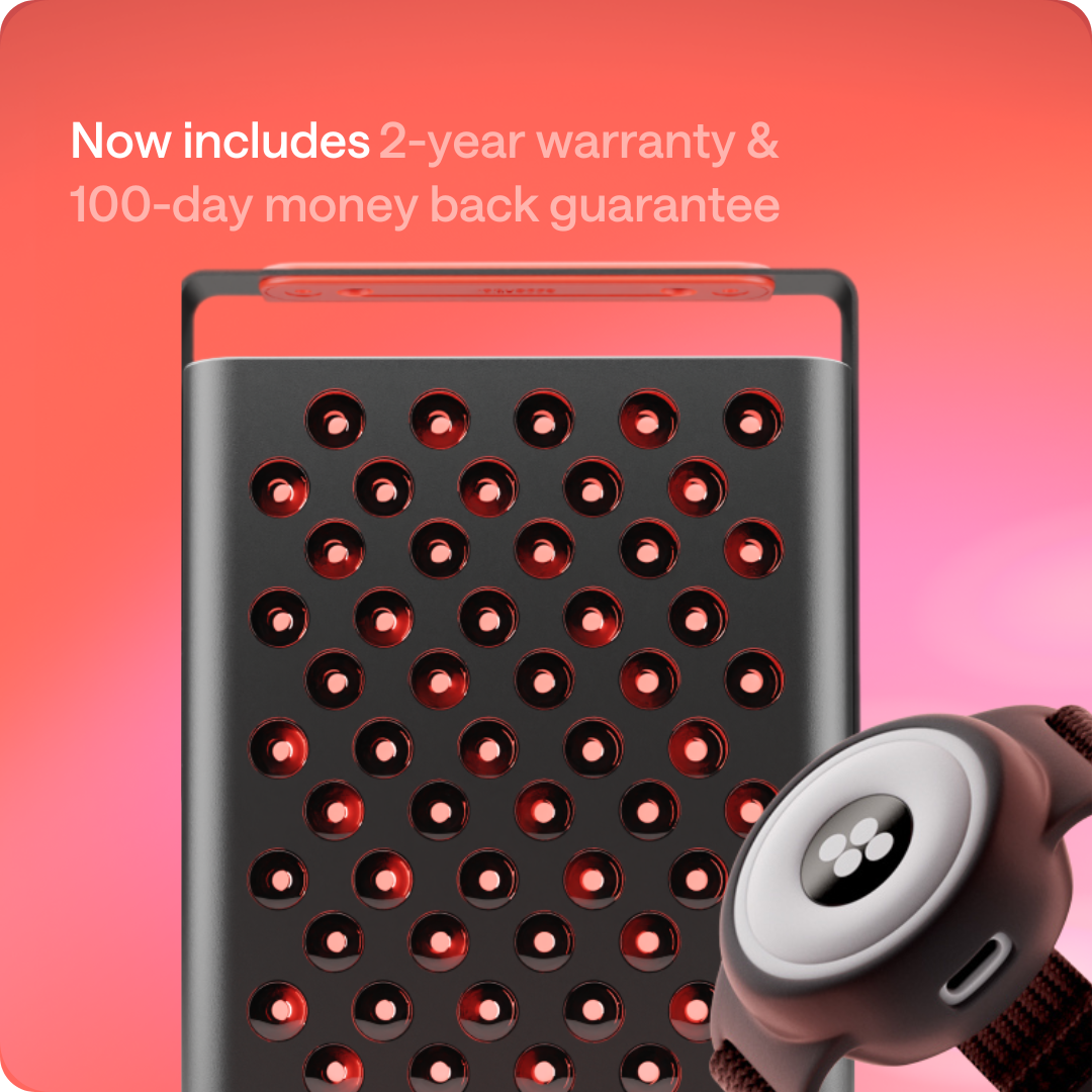 Kini × Essential Bundle